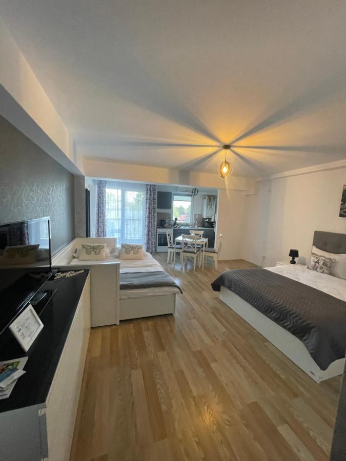 Apartment Bucharest Airport Henri Coanda & Therme-self Check-in
